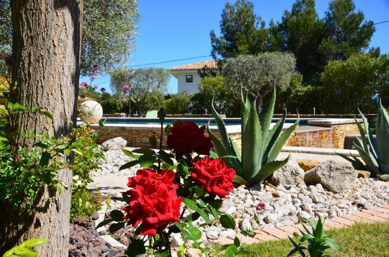 Appartements Du Jas De Clare La Cadiere-d'Azur Luaran gambar